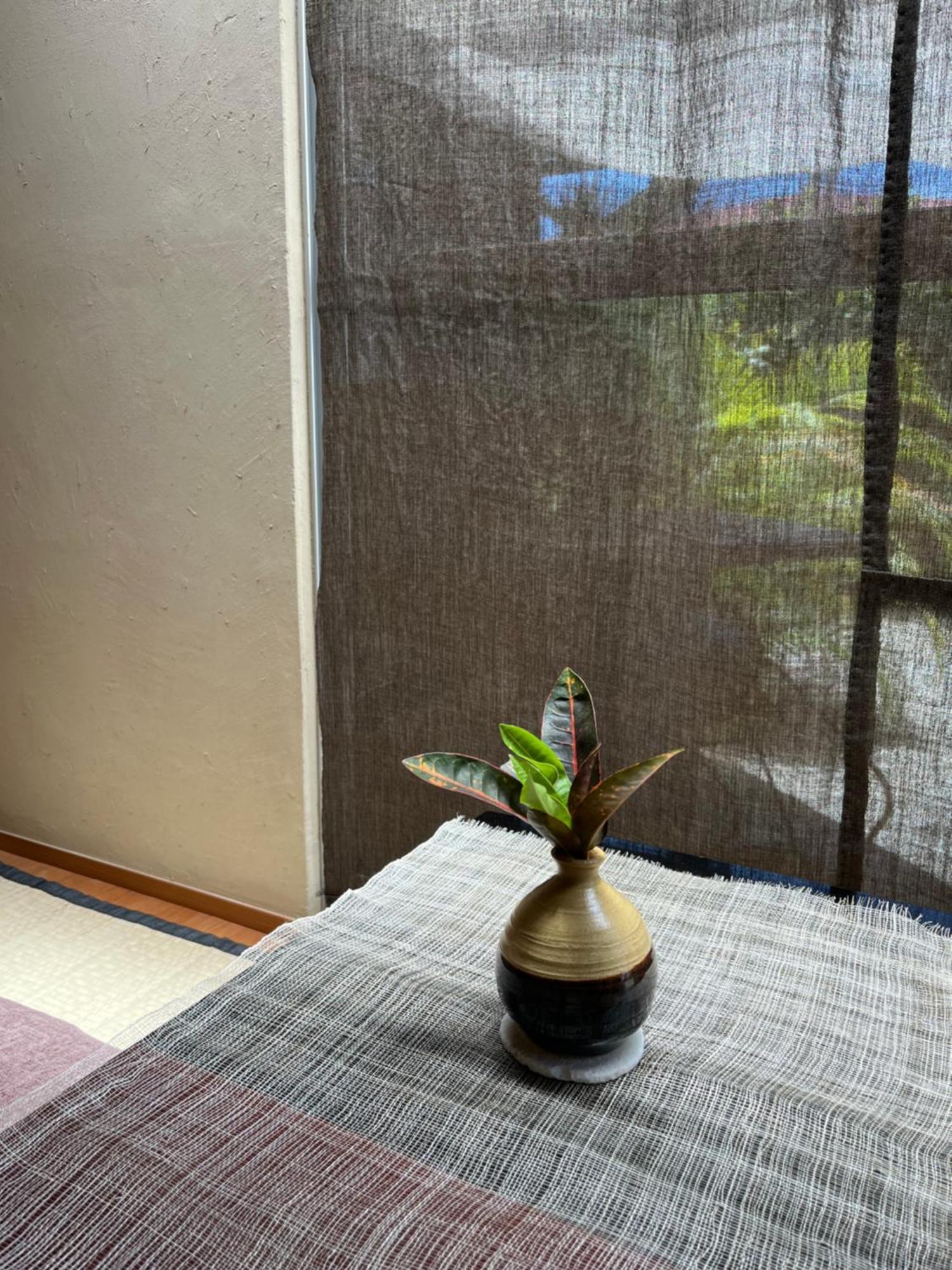 奄美市 古民家 檸檬草ヴィラ エクステリア 写真